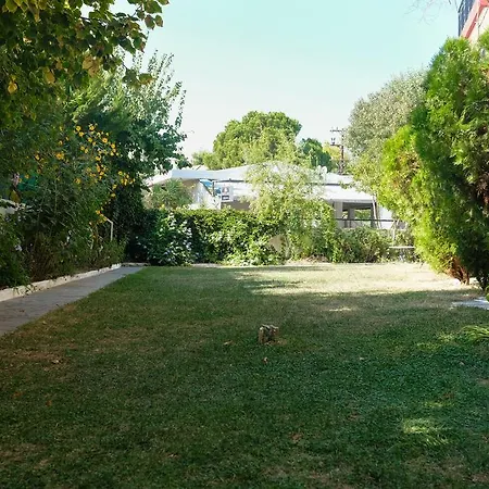 Summer House Ханиоти
